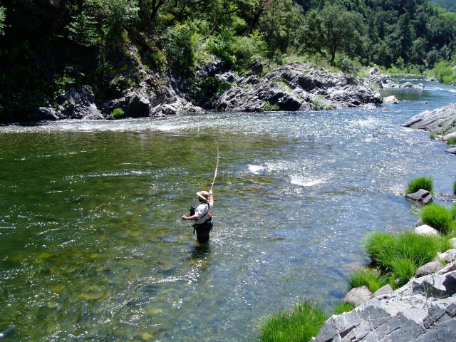 gal/Fishing 1/P7040107.JPG